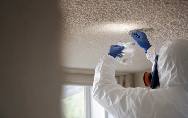 Asbestos Surveys