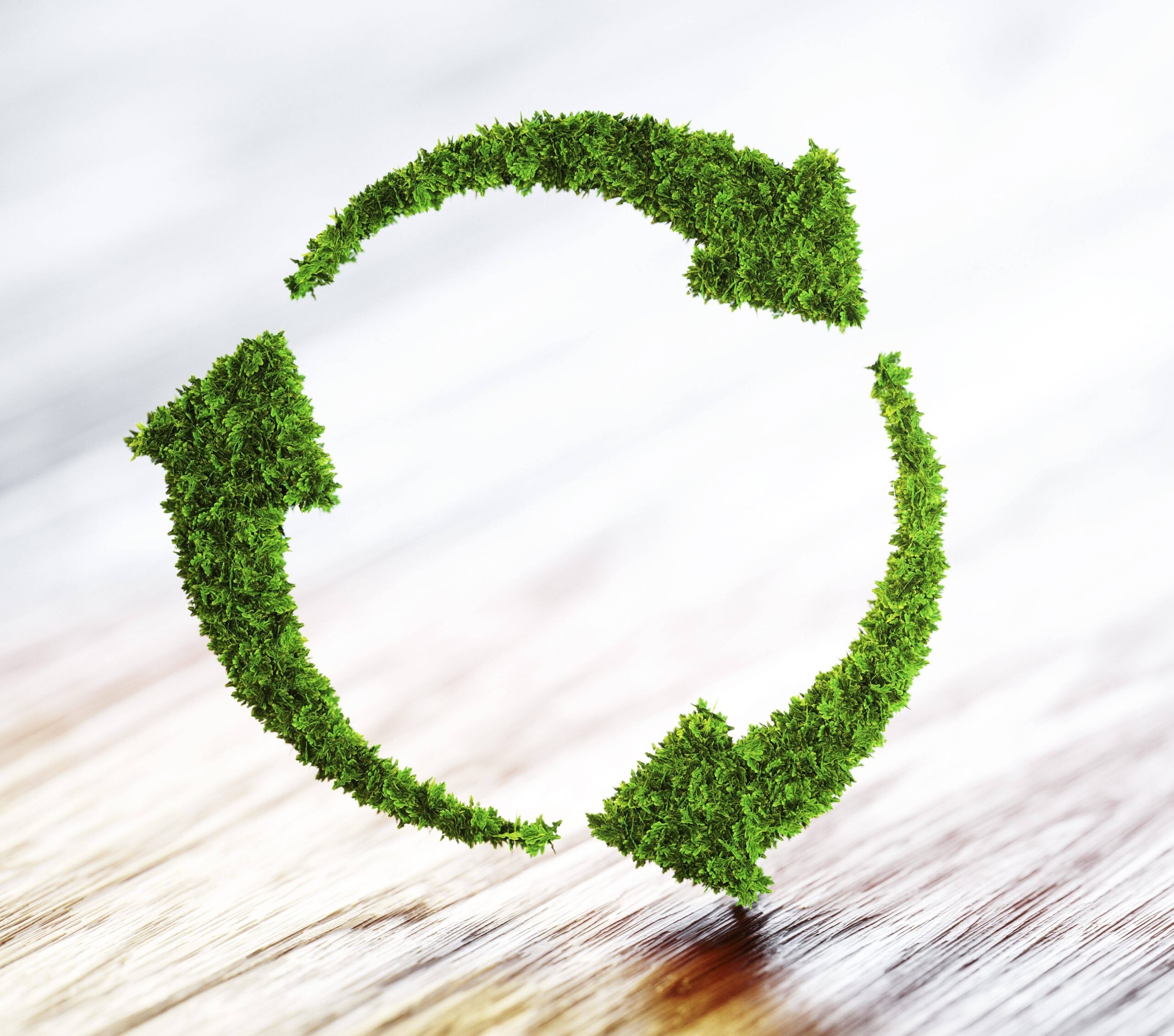 What Is A Sustainability Statement?